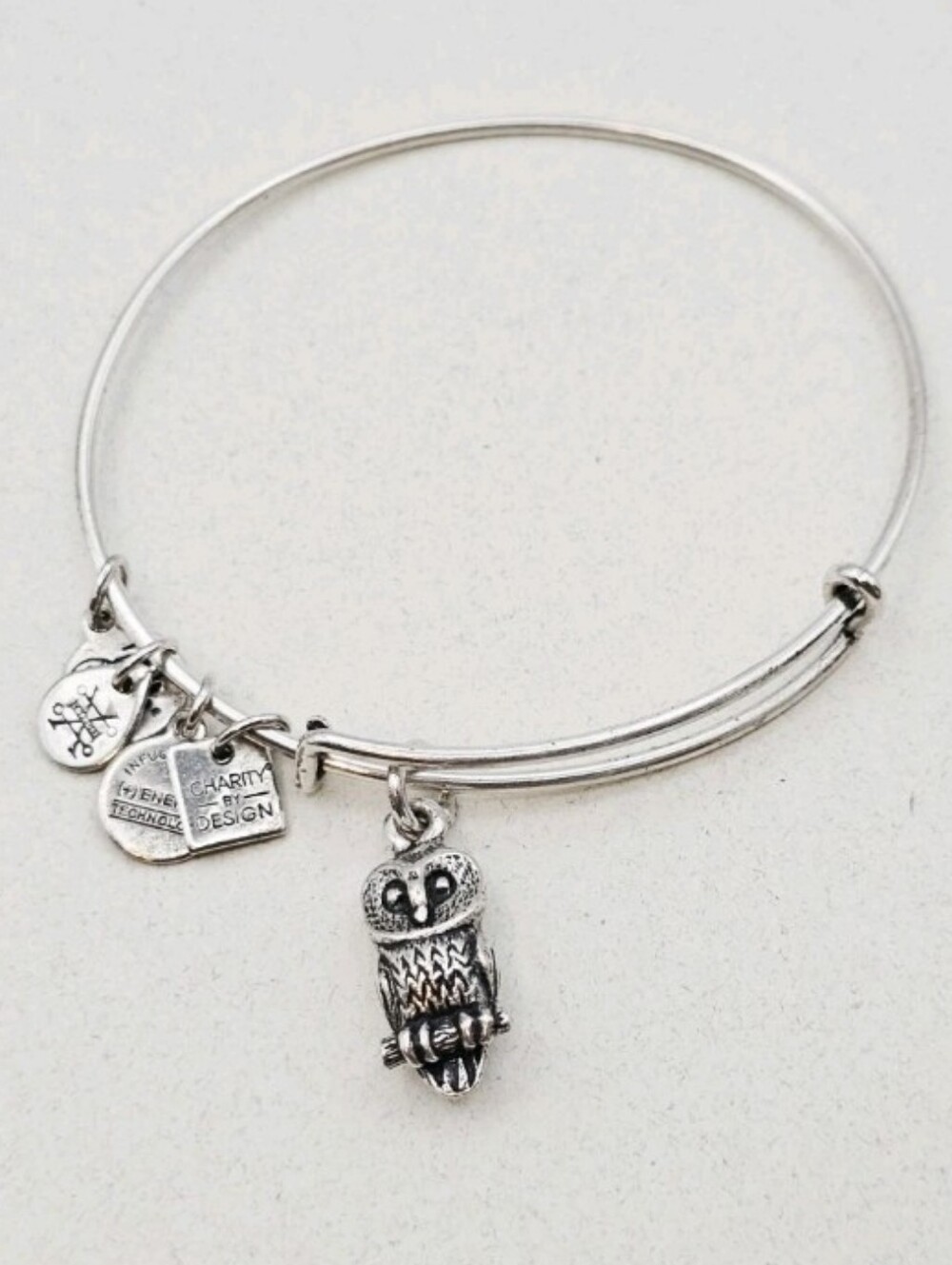 Alex and Ani Ode to the Owl Charm Bangle Bracelet